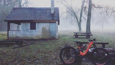 misty winter.jpeg