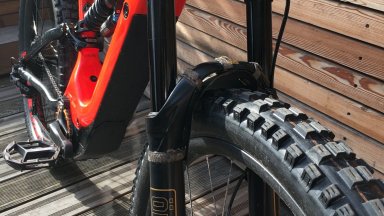 schwalbe.jpeg