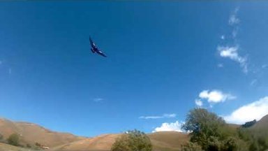 MAGPIE ATTACKS MOUNTAIN BIKER - Blenheim, New Zealand