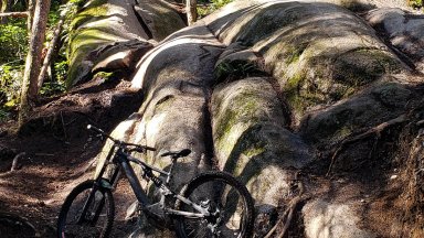 Media 'Whale Tail - Entrails Squamish.jpg' in album 'BC Mountain Biking'
