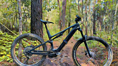 Chainsaw Trail in Trigo