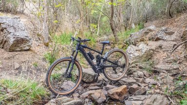 Lost in a creek