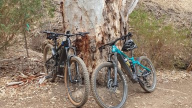 eBro's Focus & Merida