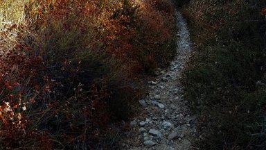 cucamonga4.jpg