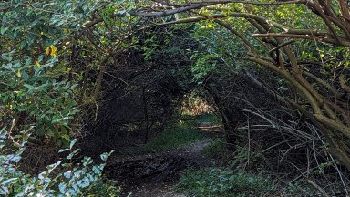 PXL_20230916_203356009.jpg