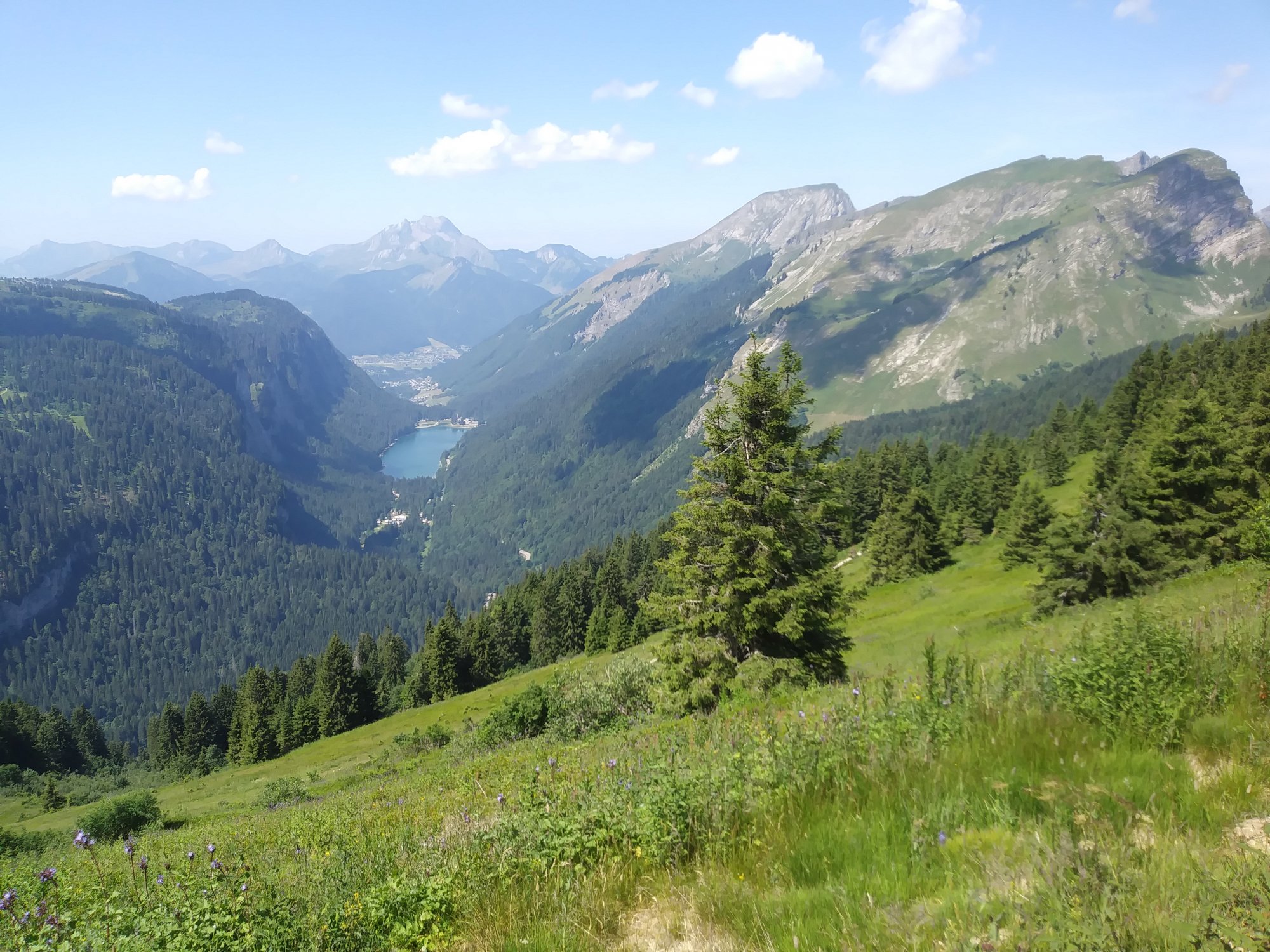 20190719_121845.jpg