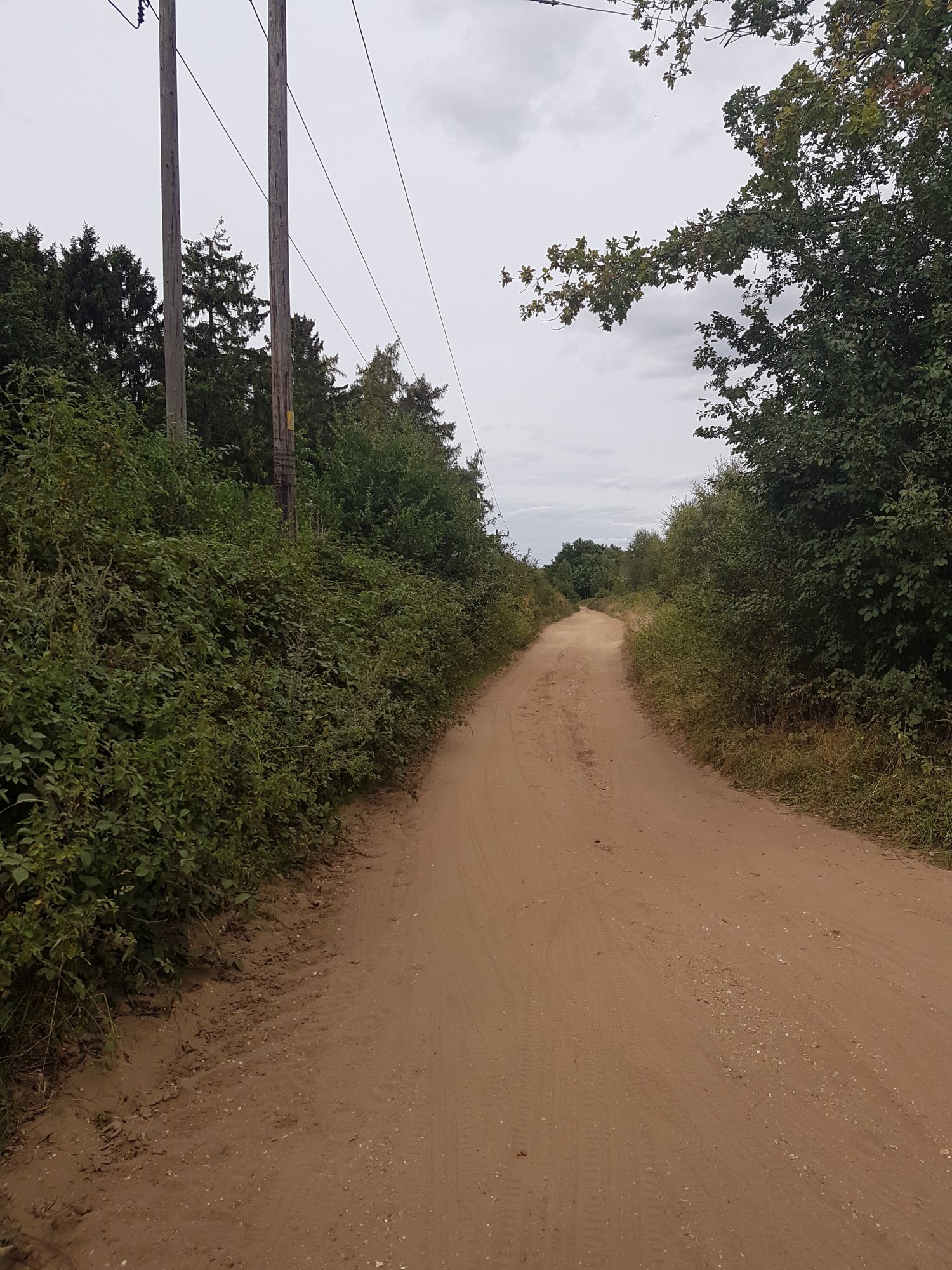 20190902_153026.jpg