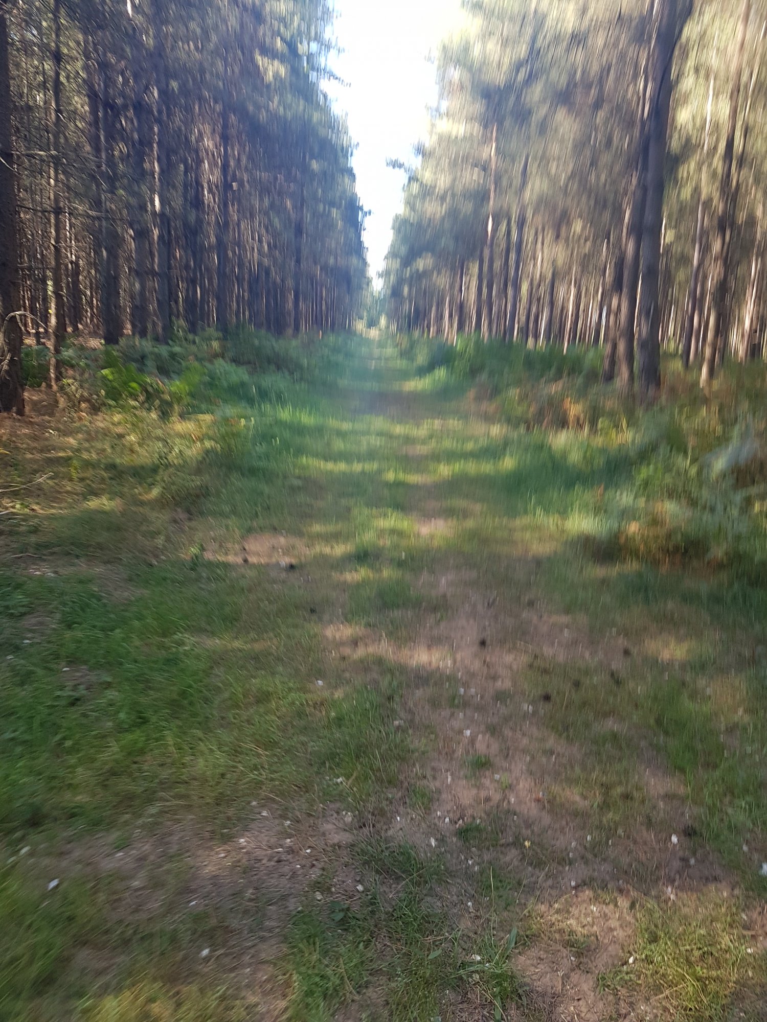 20190903_154645.jpg