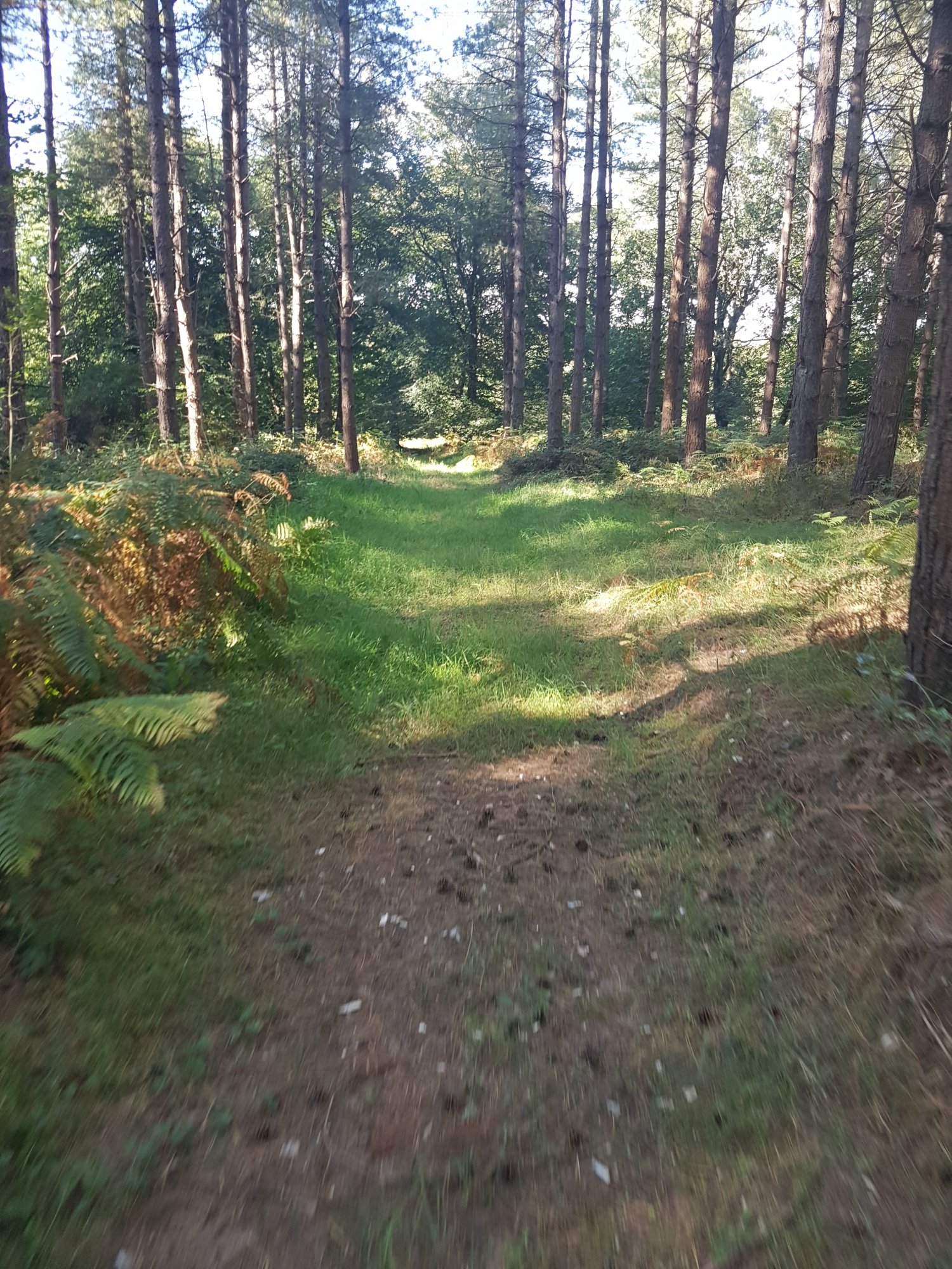 20190903_161502.jpg