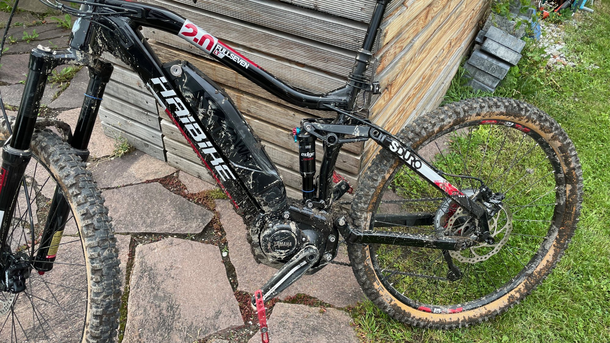 Back from Trail
