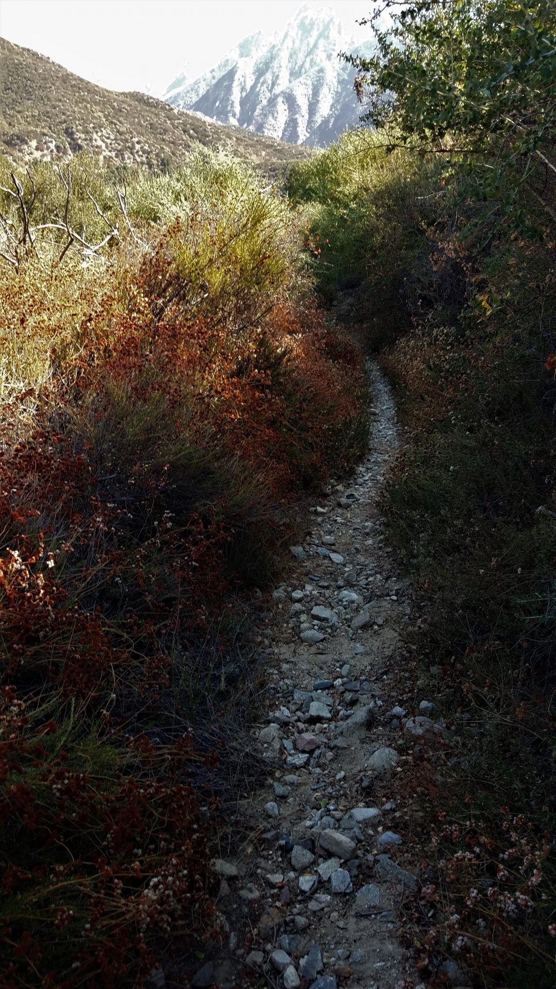 cucamonga4.jpg