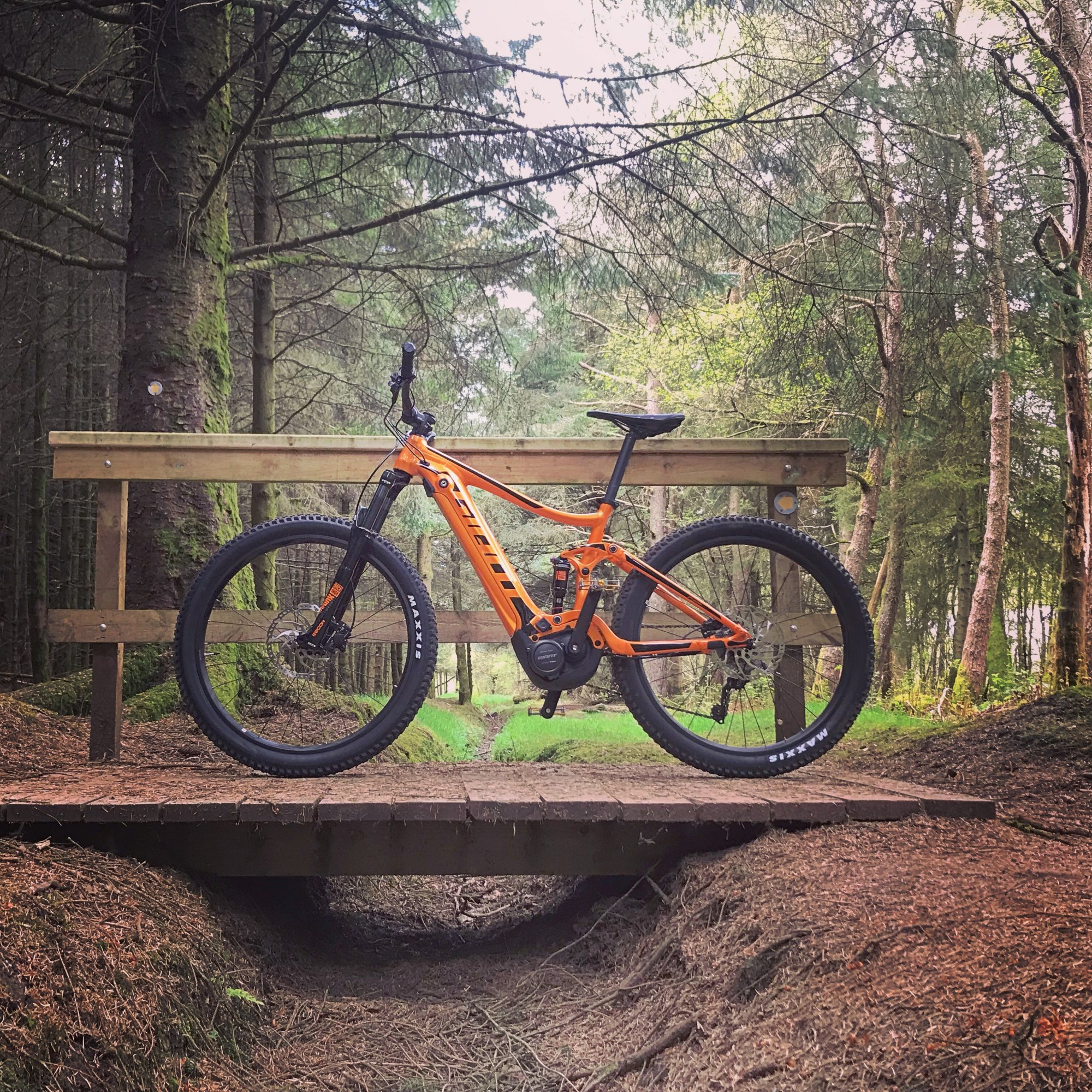 Giant Stance E+1 in the woods