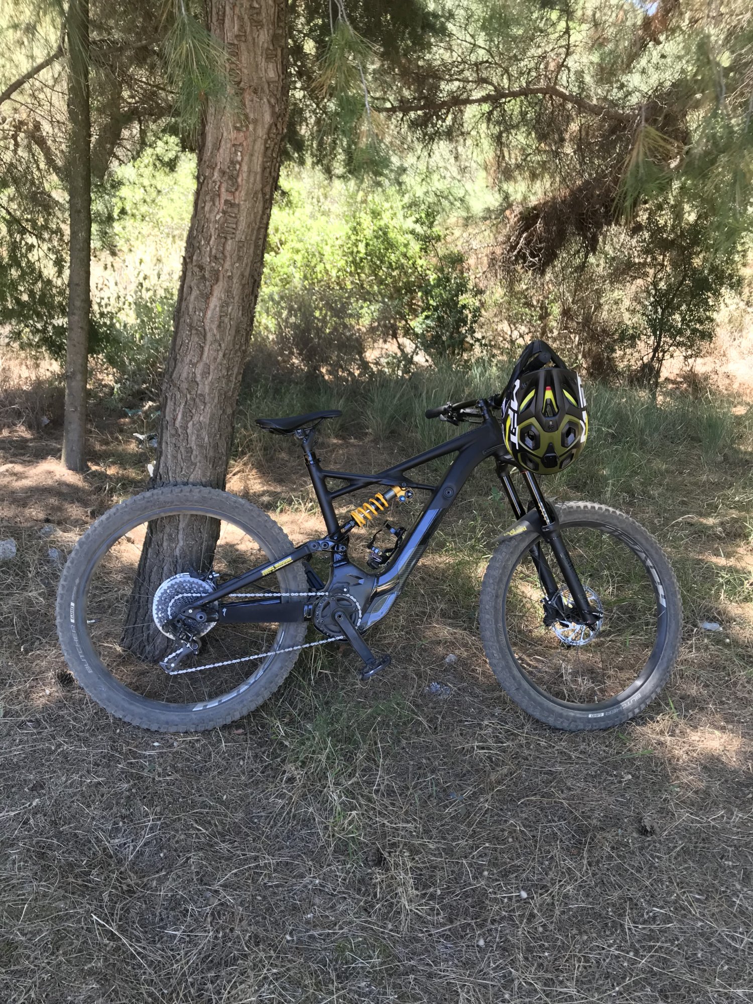 Kenevo Expert.jpeg