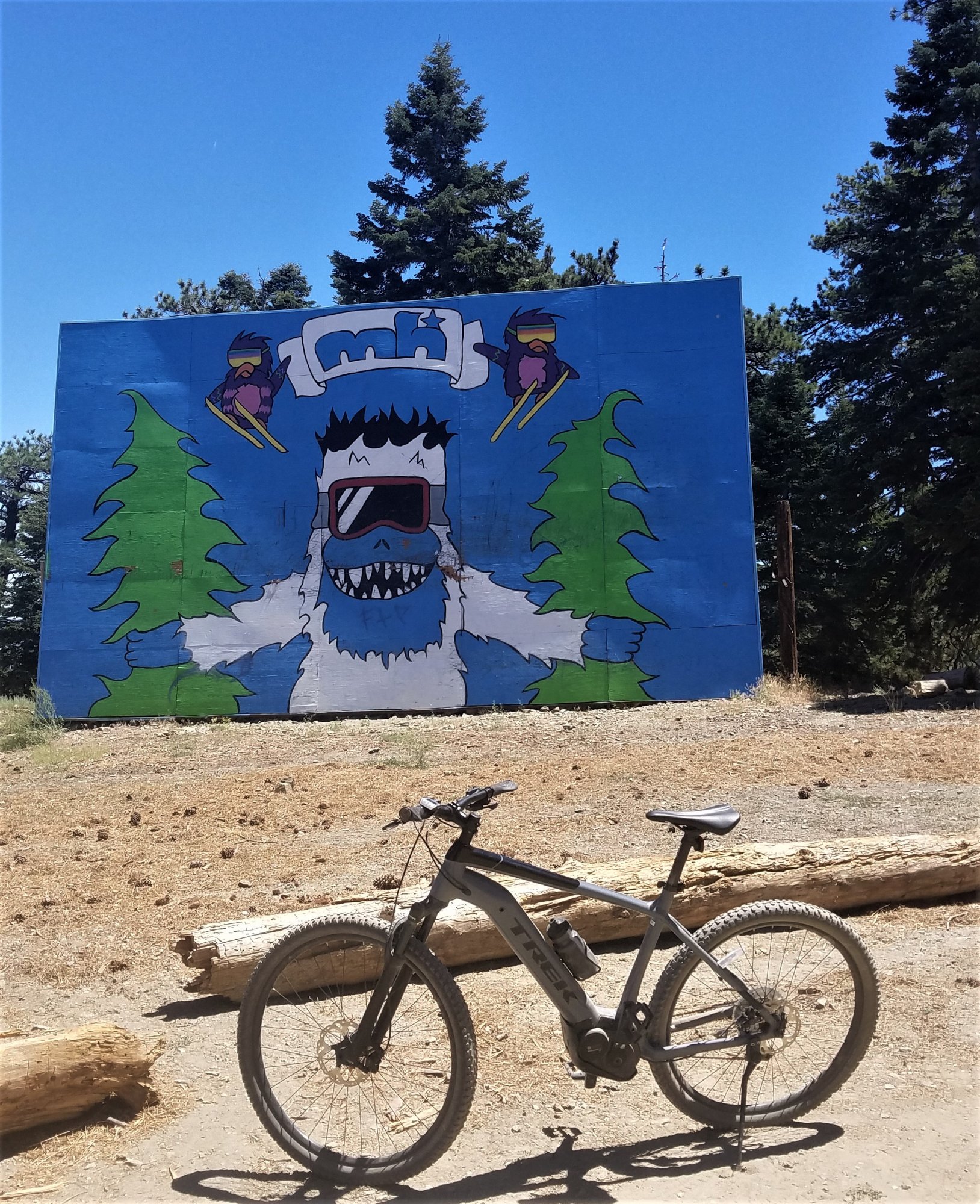 mountainhigh.jpg