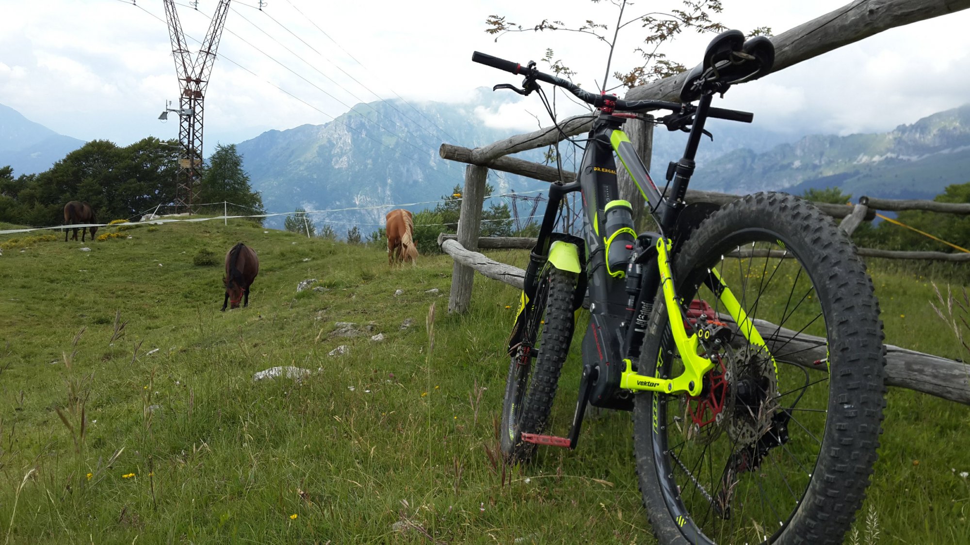 MTB_20180624_Gazza.jpg
