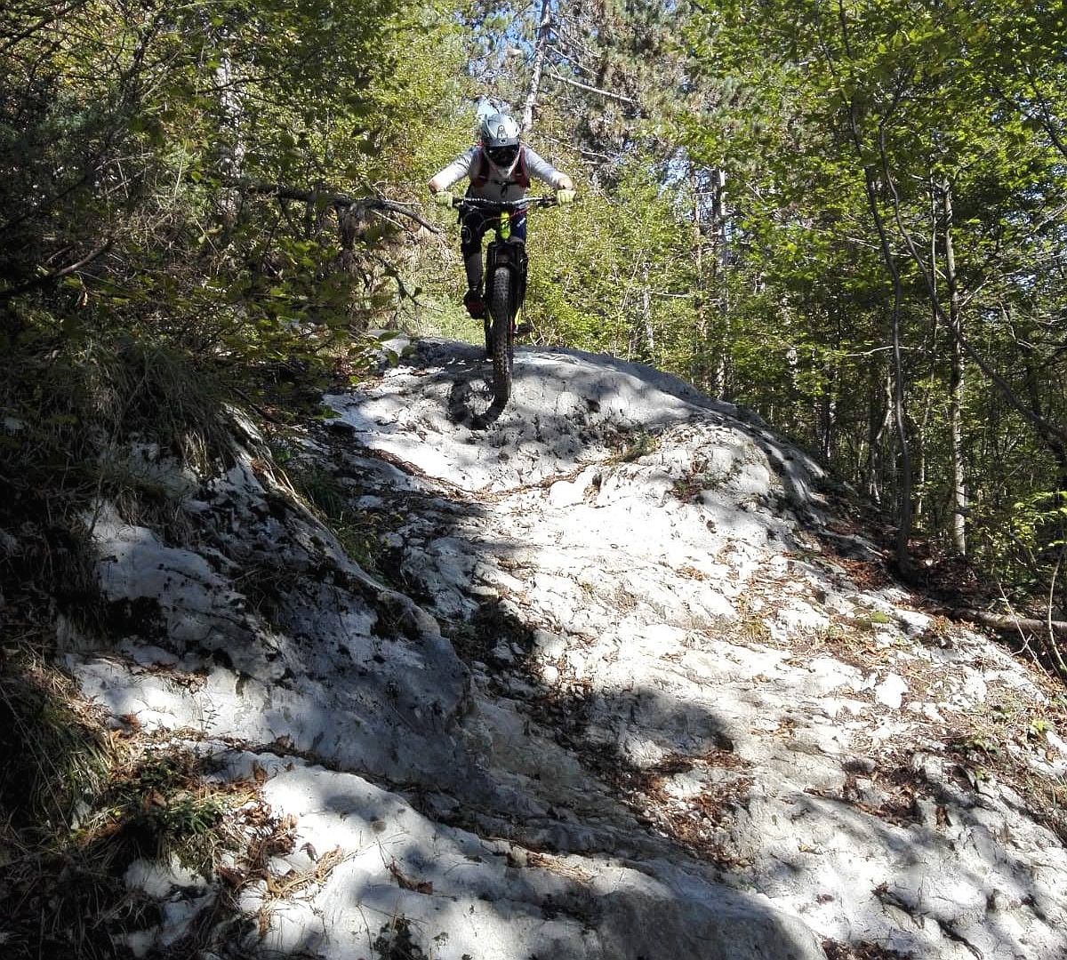 MTB_20191013_1.jpg