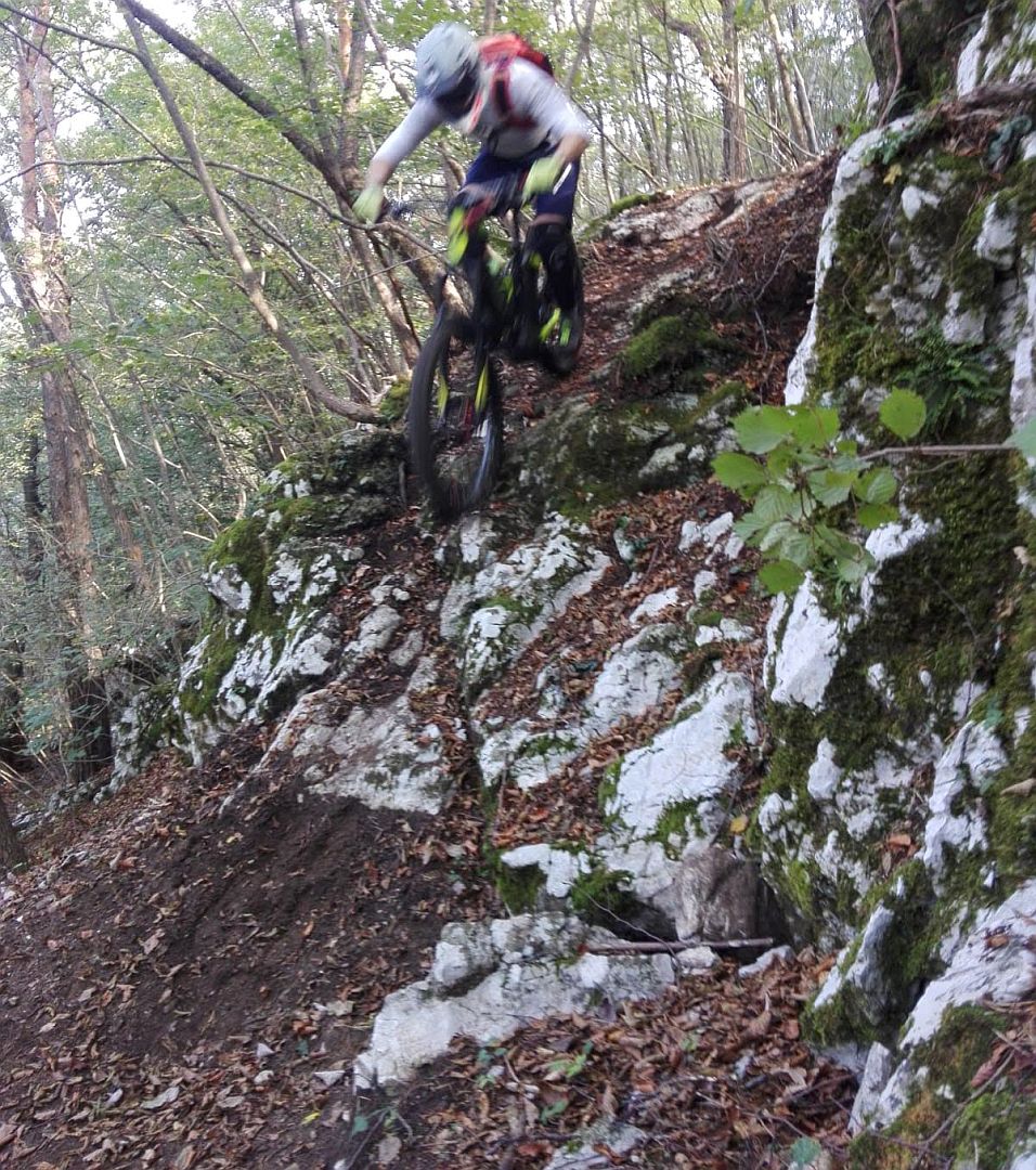 MTB_20191013_3.jpg