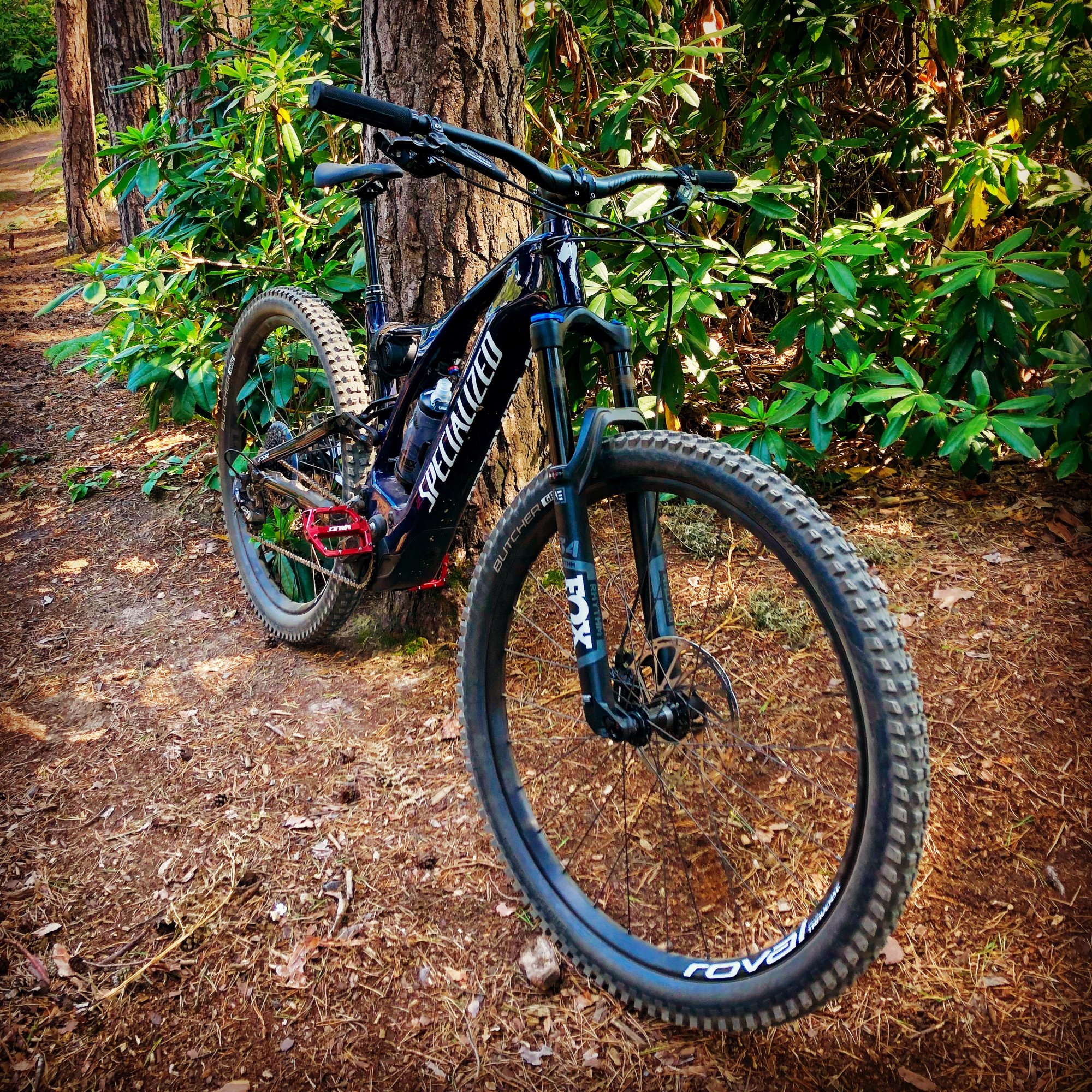New Bike Day.JPG