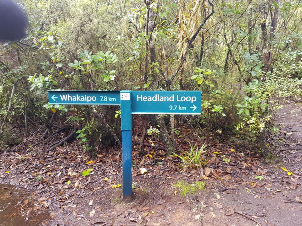 W2K_Taupo W2K additional Loop Sign post.jpg